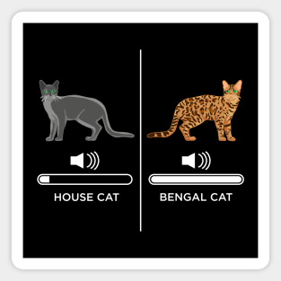 House cat vs Bengal cat Magnet